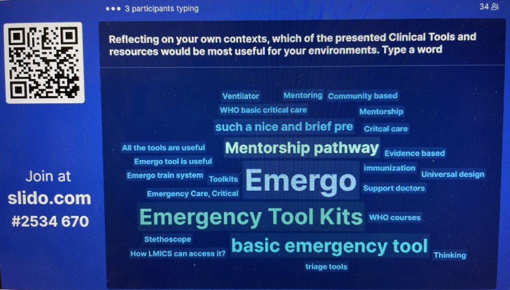 Photo ETS presentation at WHO webinar.